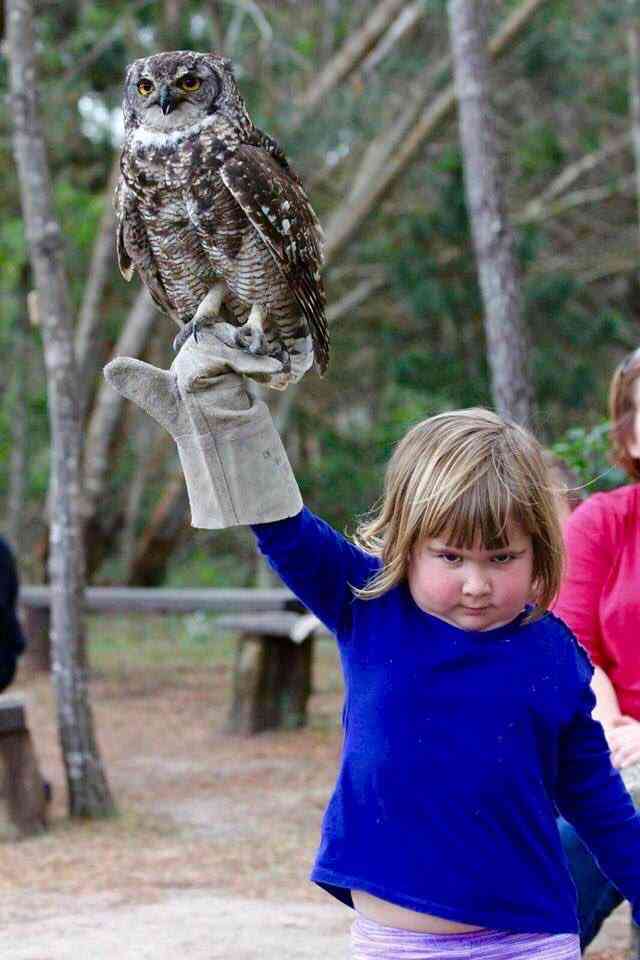 動物と子供の写真を貼るトピ