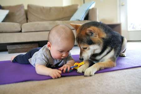 動物と子供の写真を貼るトピ