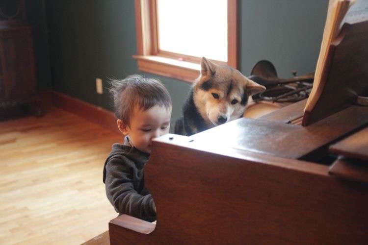動物と子供の写真を貼るトピ