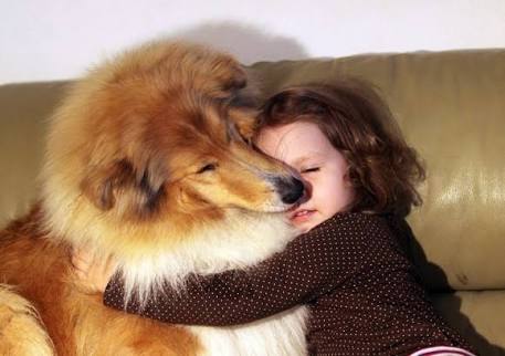 動物と子供の写真を貼るトピ