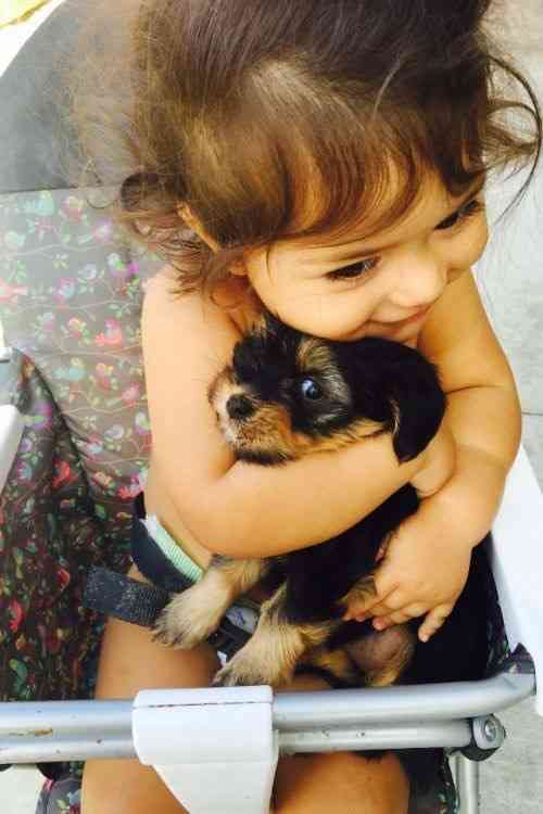 動物と子供の写真を貼るトピ