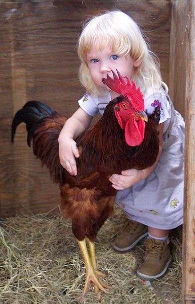 動物と子供の写真を貼るトピ