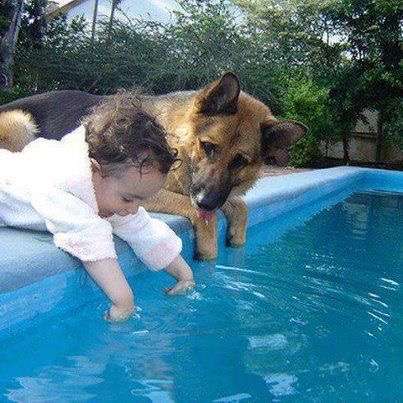 動物と子供の写真を貼るトピ