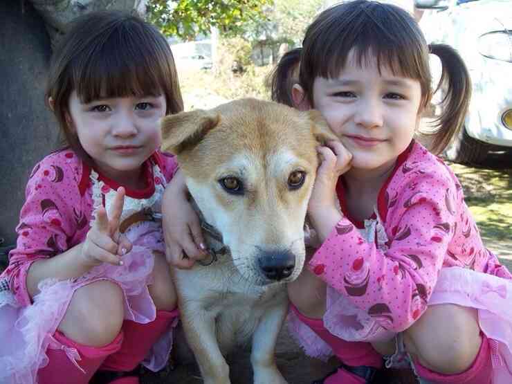 動物と子供の写真を貼るトピ