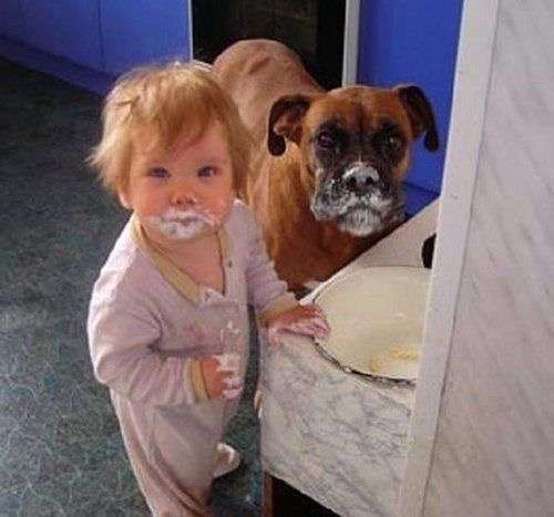 動物と子供の写真を貼るトピ