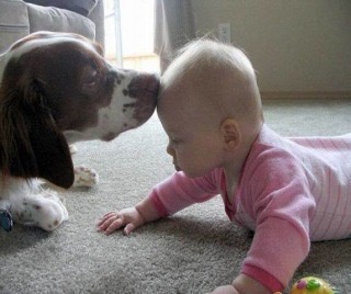 動物と子供の写真を貼るトピ