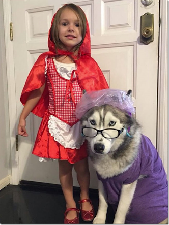 動物と子供の写真を貼るトピ