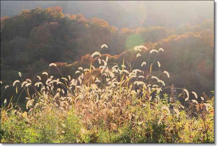 子どもに教えたい童謡