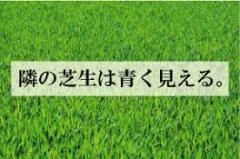 隣の芝生は青すぎるひと