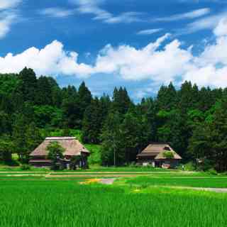 【画像】夏の、和風のものが見たい