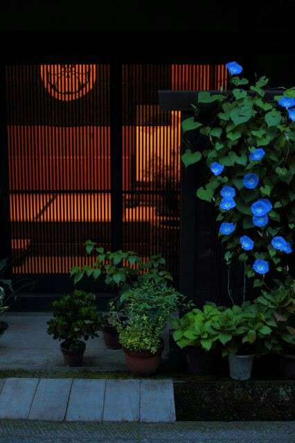 【画像】夏の、和風のものが見たい