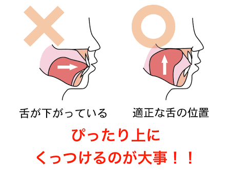 輪郭の話をしようじゃないか！