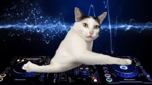 笑えるコラ画像