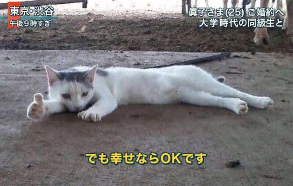 笑えるコラ画像