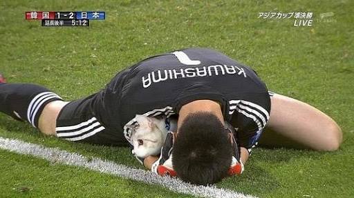 笑えるコラ画像