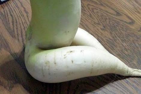 せやかて工藤になりきって7月を過ごすトピ