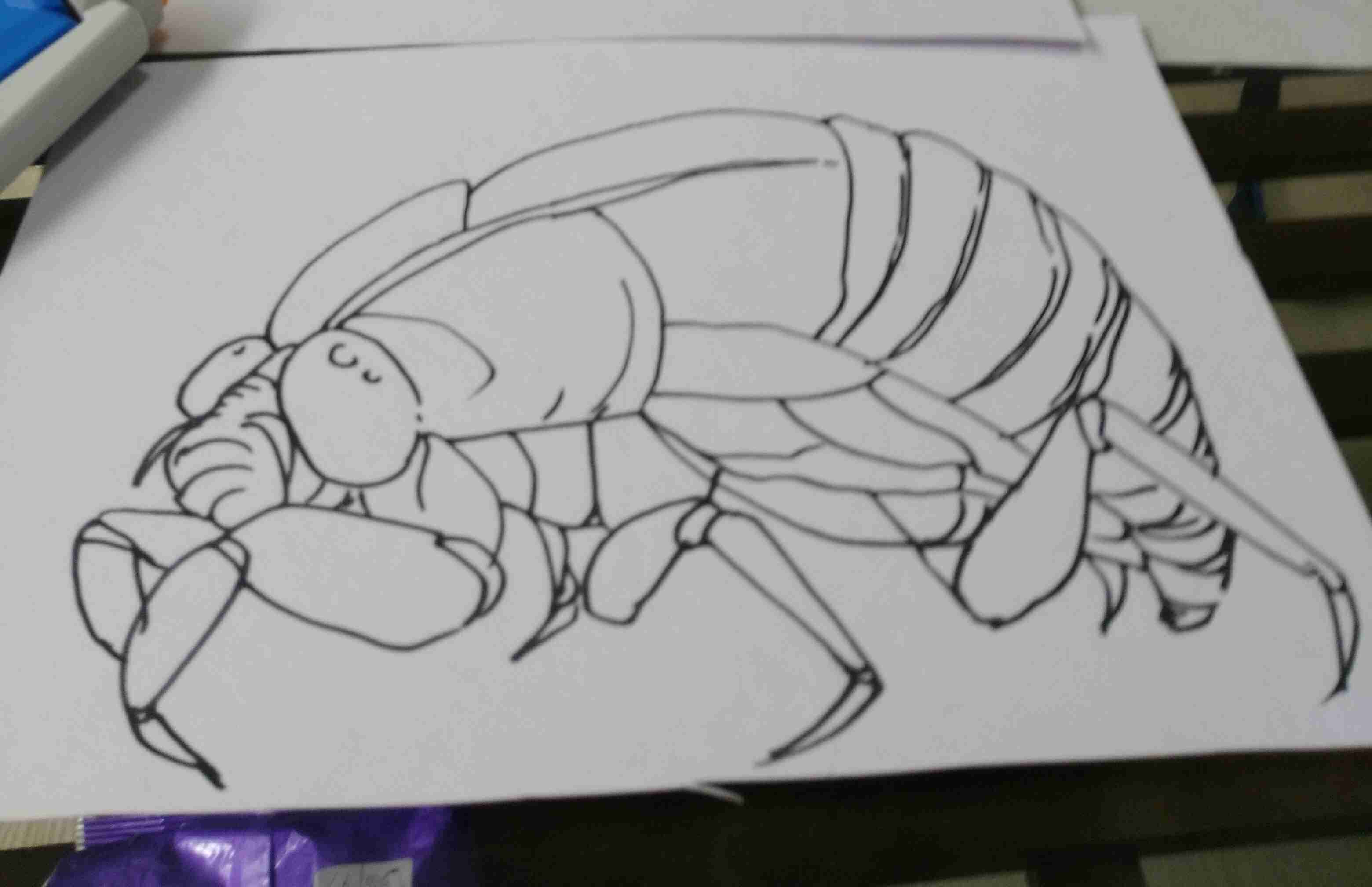 【お絵かきトピ】動物の絵を描こう!