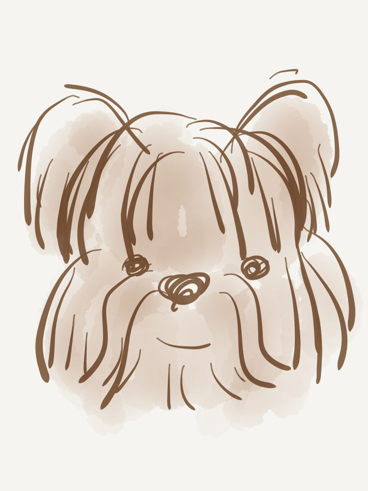 【お絵かきトピ】動物の絵を描こう!