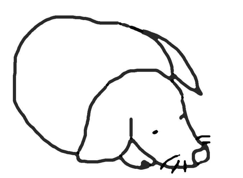 【お絵かきトピ】動物の絵を描こう!