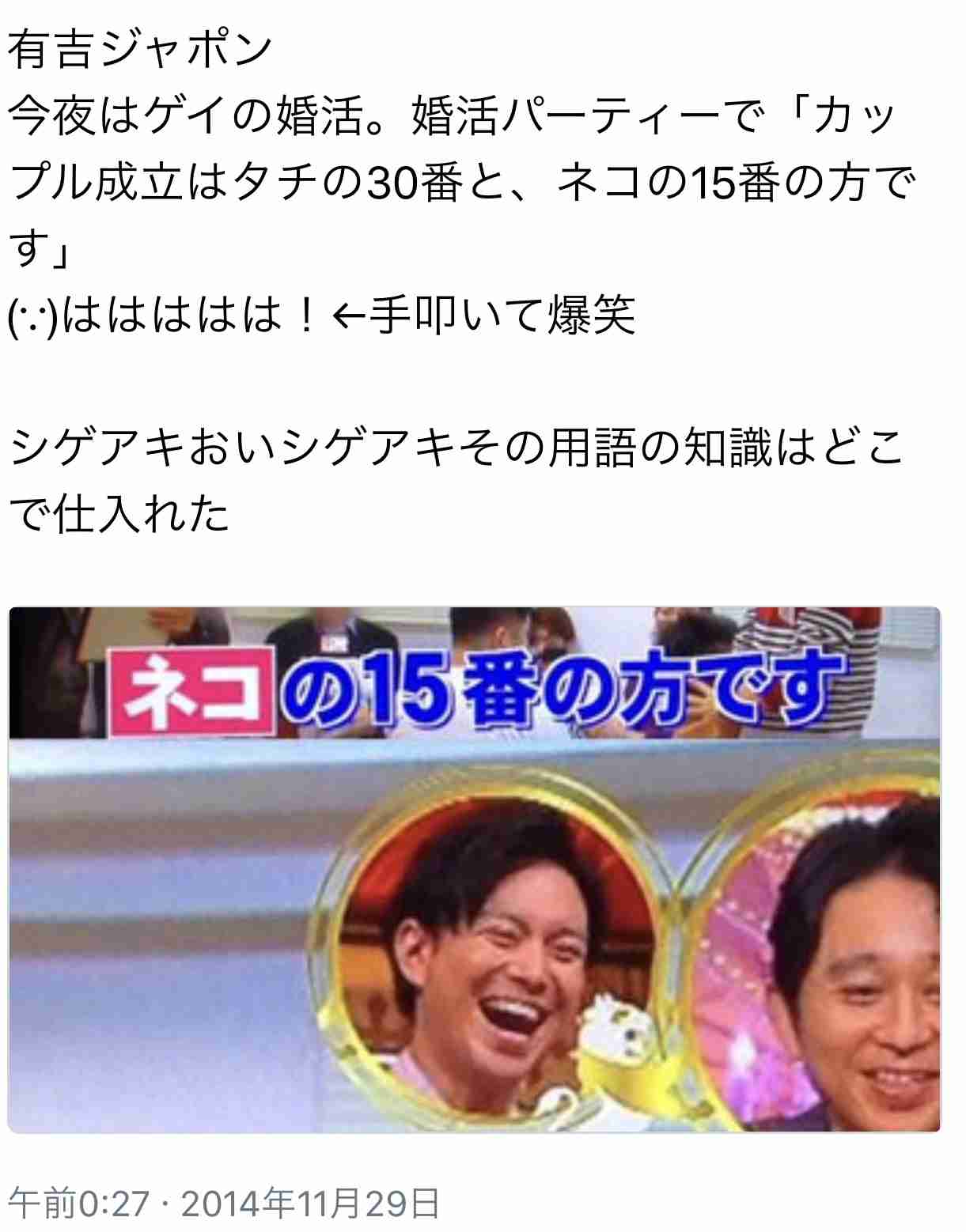 『猫のかくれんぼ写真』が激ムズと話題「マジで見つからない」「本当にいるの？」