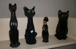 『猫のかくれんぼ写真』が激ムズと話題「マジで見つからない」「本当にいるの？」