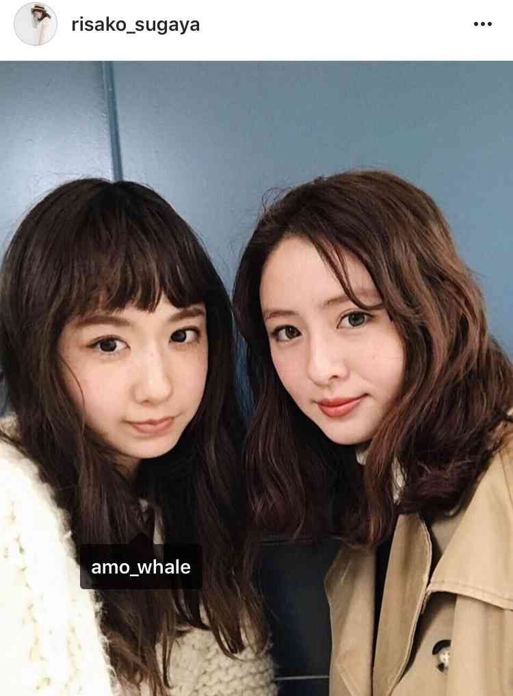 お人形さんみたいな顔してると思う日本の女性有名人