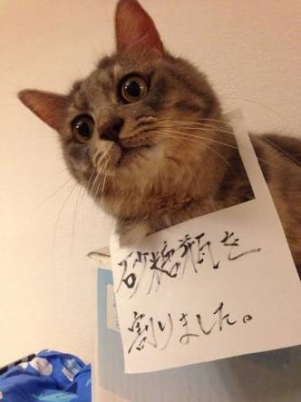 センスがいいなと思ったトピ画を貼って下さい