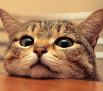 デイサービスで働いている方