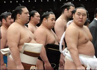 【大相撲名古屋場所】15日間を応援しながら見届けるトピ！