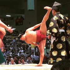 【大相撲名古屋場所】15日間を応援しながら見届けるトピ！