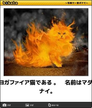 近所のカレー屋さんの辛さ選択がなんか普通と違うｗ