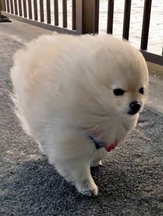 【ジャンルなし】心ときめく画像