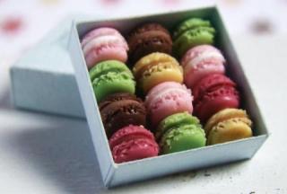 ミニチュアの画像トピ