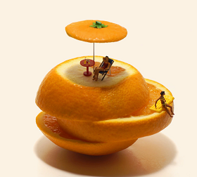 ミニチュアの画像トピ