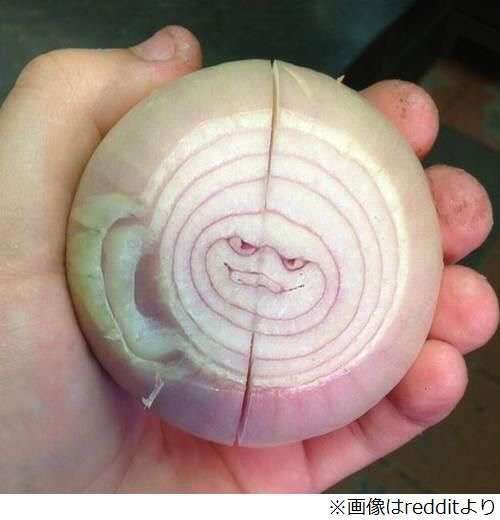 【画像集まれ】顔に見える物！