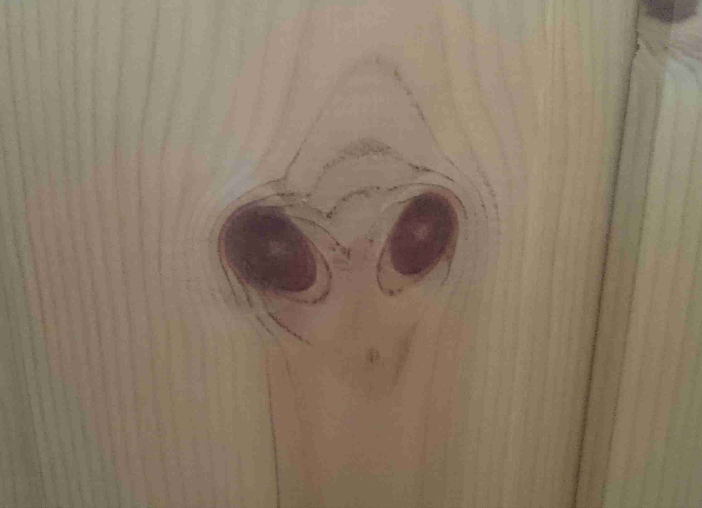 【画像集まれ】顔に見える物！