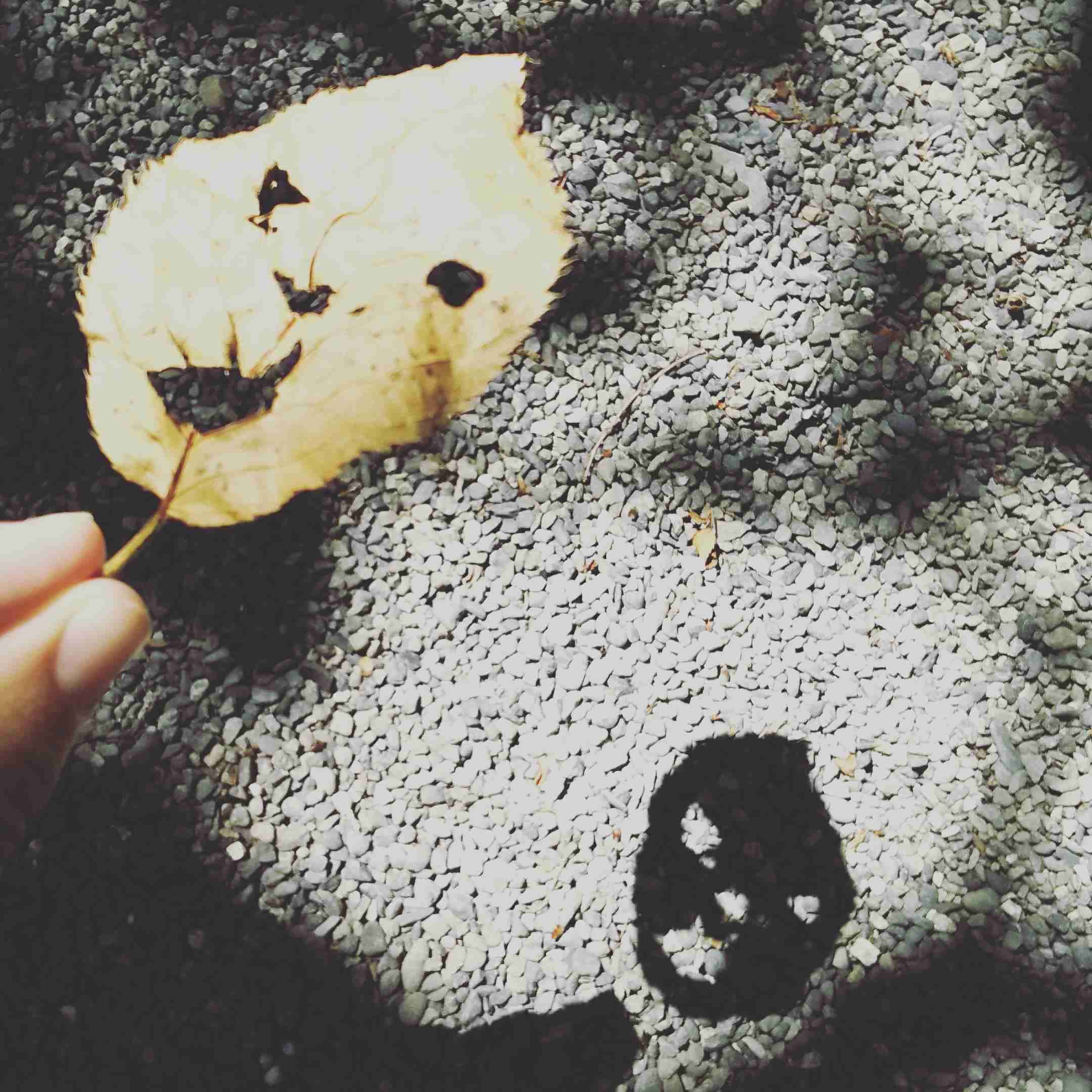 【画像集まれ】顔に見える物！
