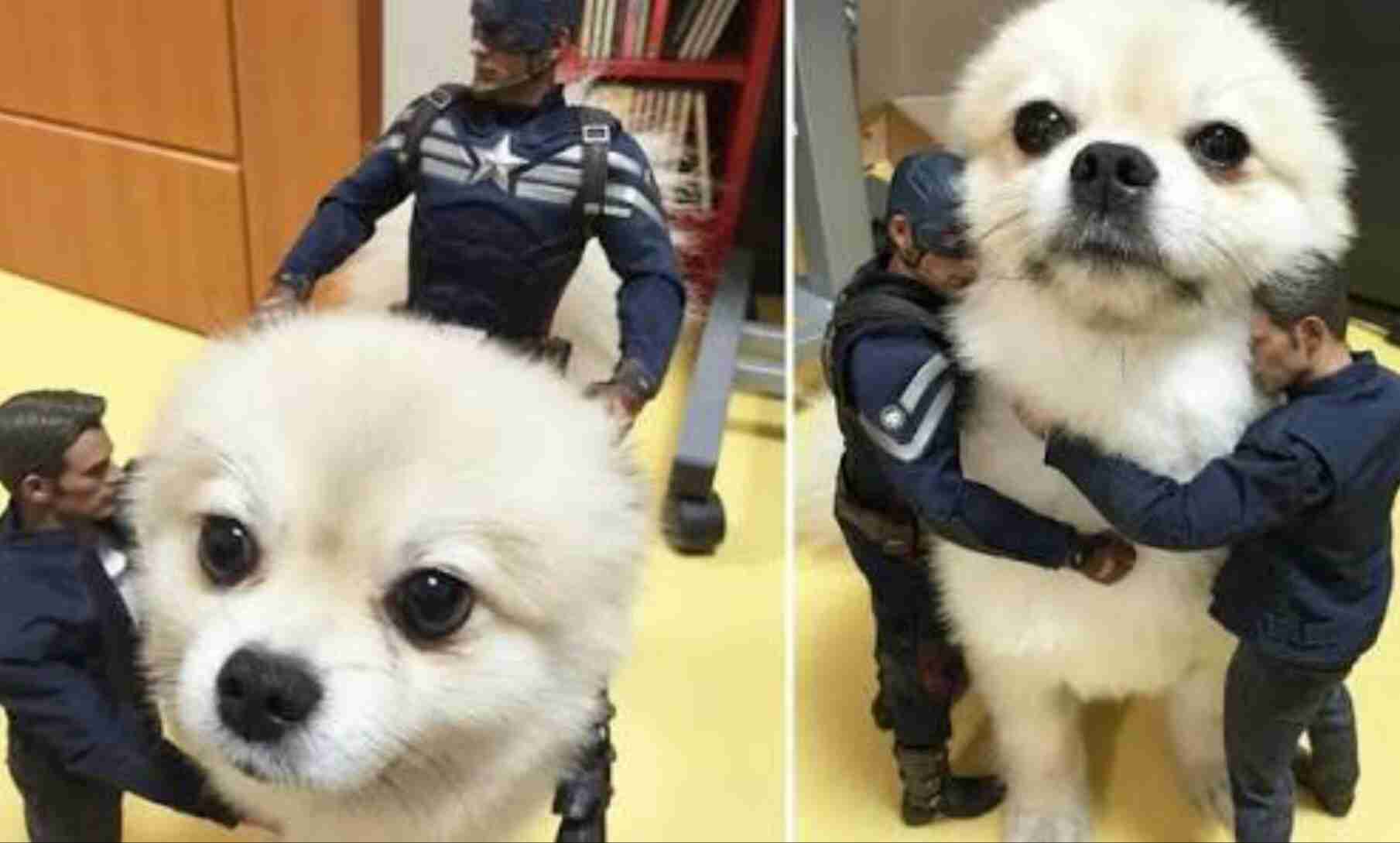 ガルちゃんでしか使い道が無い画像を貼っていくトピ