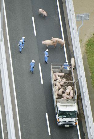ガルちゃんでしか使い道が無い画像を貼っていくトピ