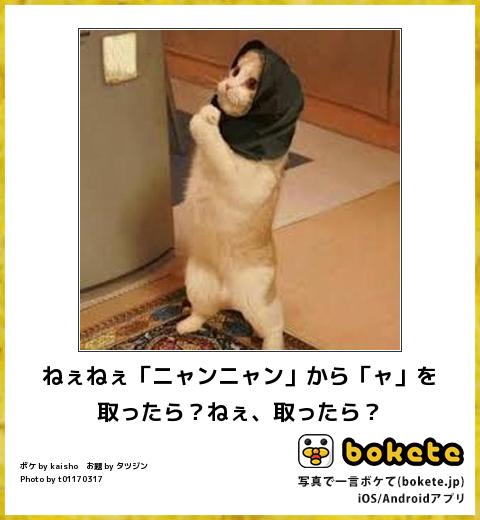 ガルちゃんでしか使い道が無い画像を貼っていくトピ