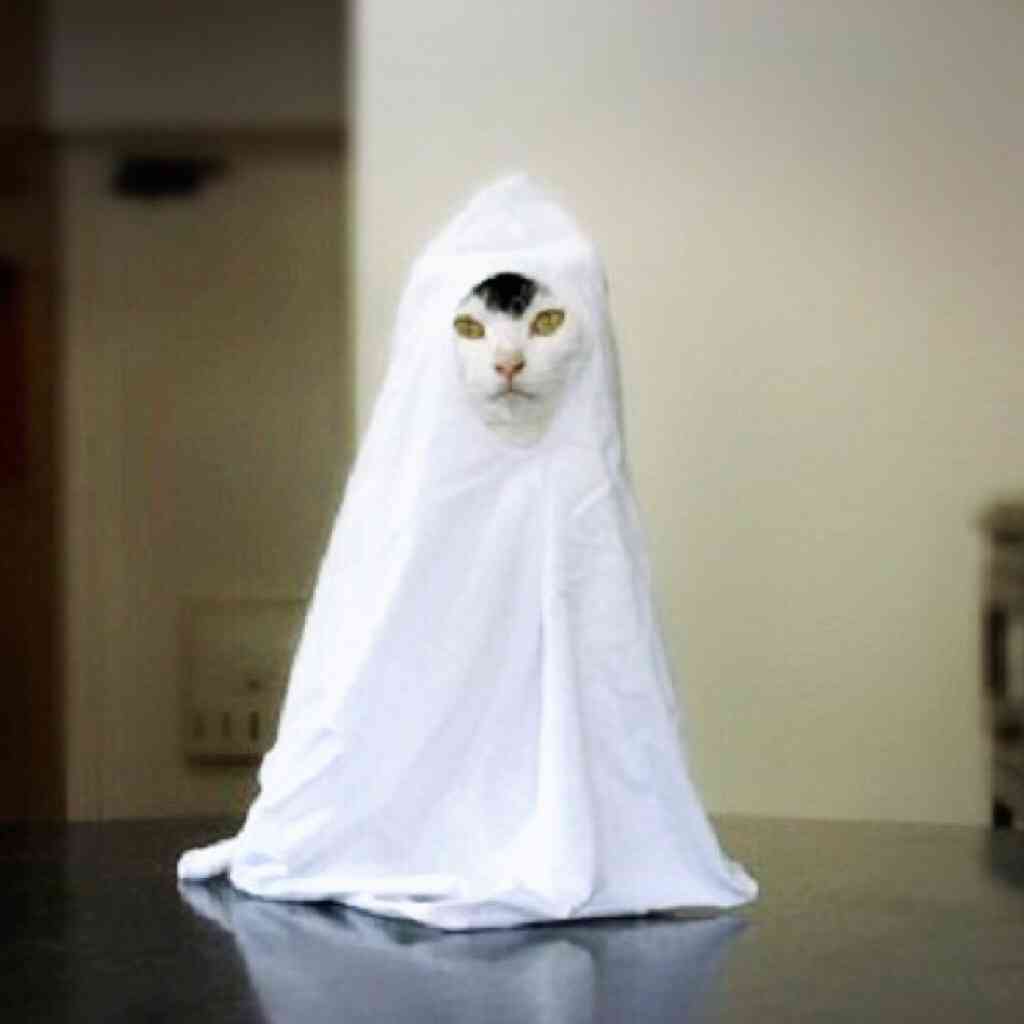 ガルちゃんでしか使い道が無い画像を貼っていくトピ