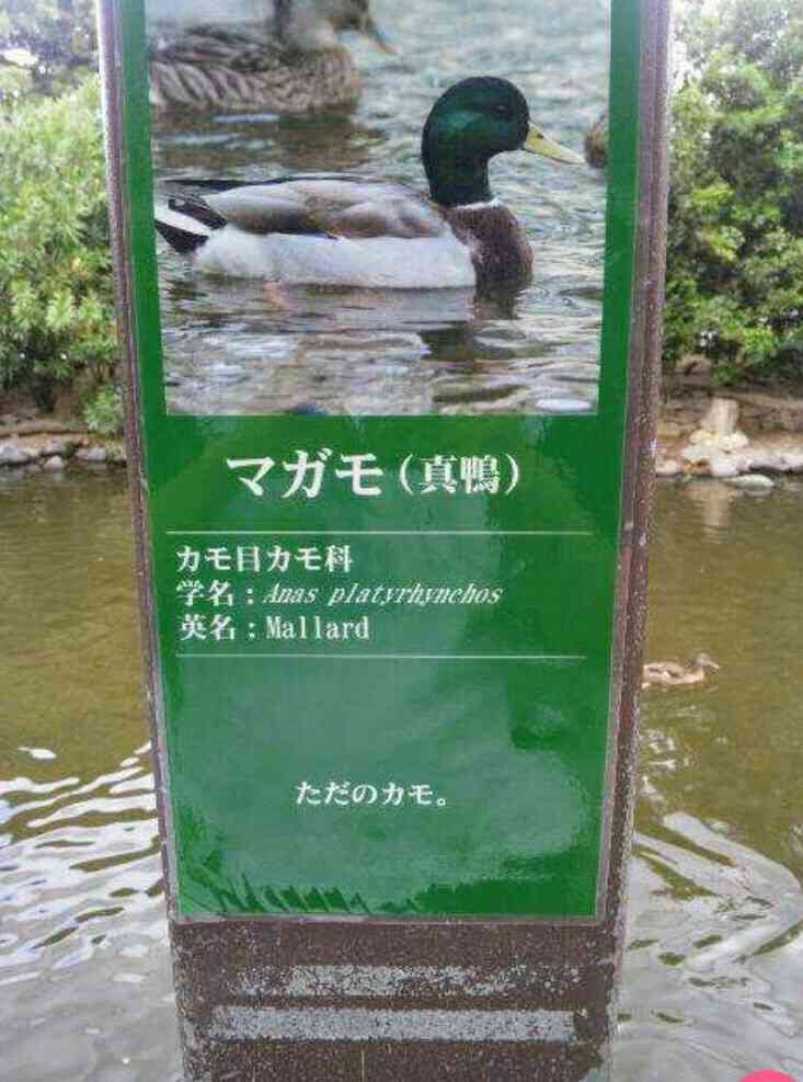 ガルちゃんでしか使い道が無い画像を貼っていくトピ