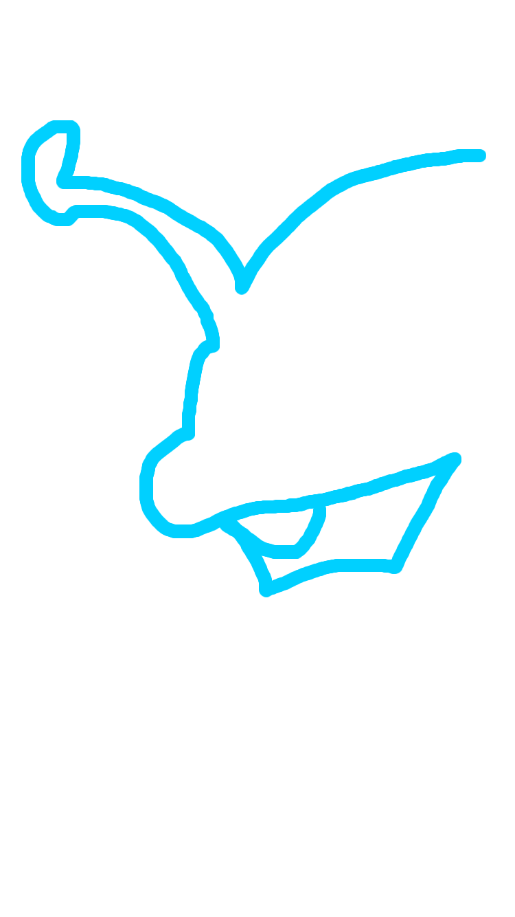 一筆描きのお絵かきトピ