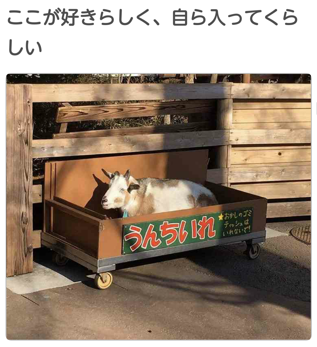 あなたのスマホの中の写真見せて