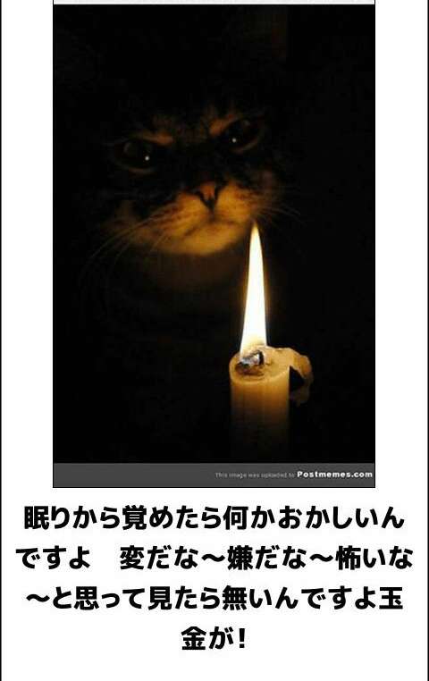 あなたのスマホの中の写真見せて