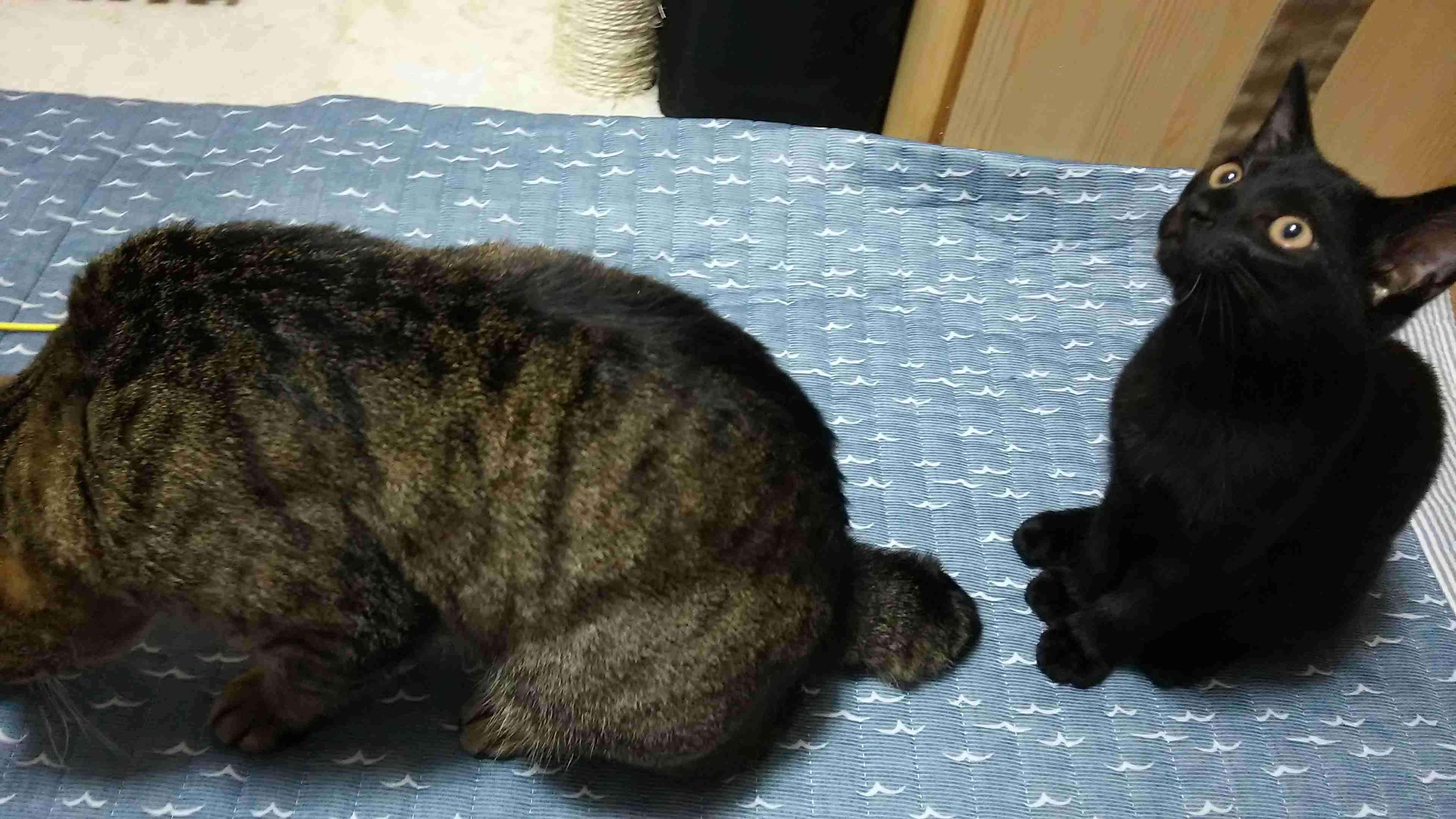 あなたのスマホの中の写真見せて