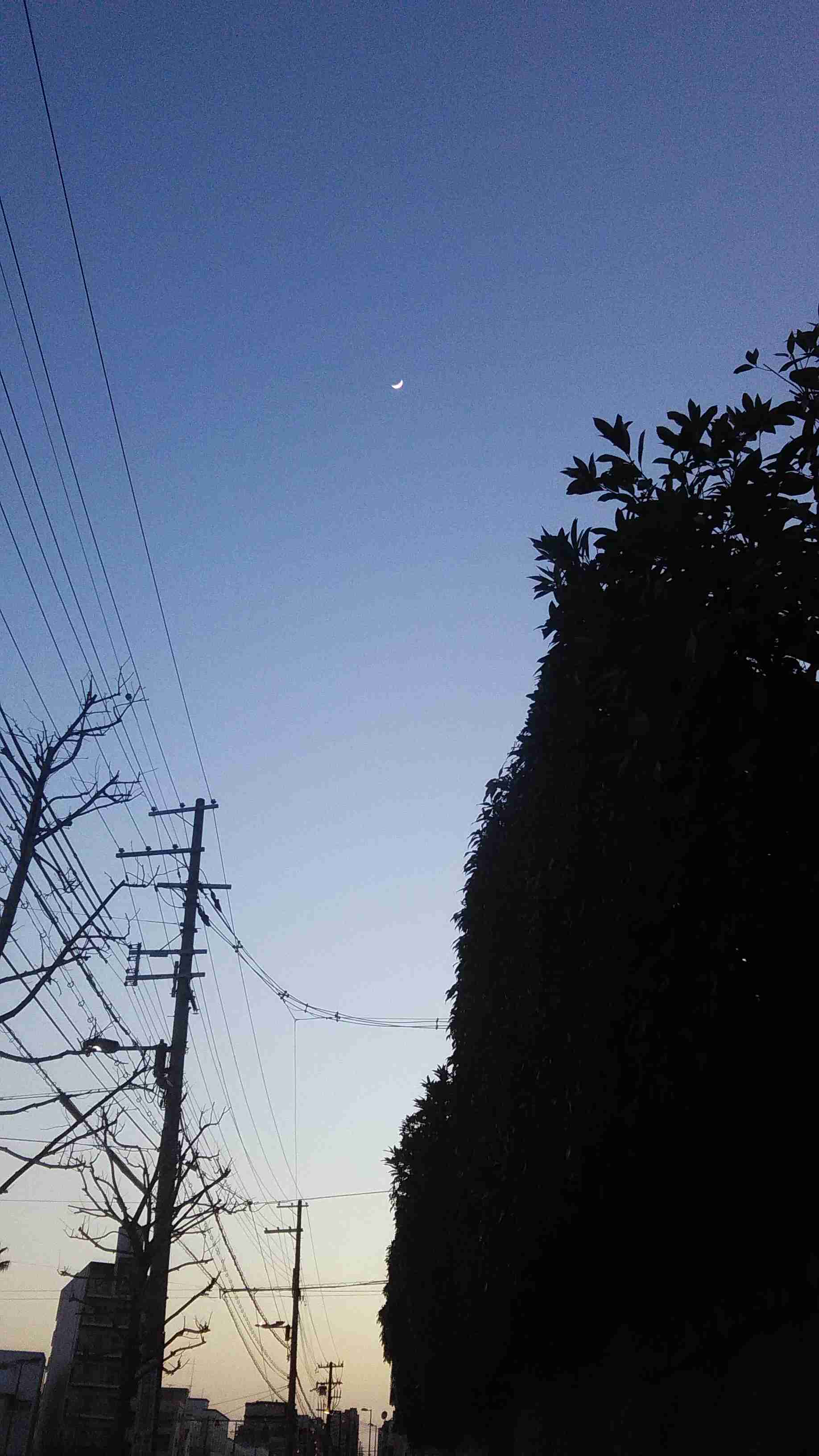 あなたのスマホの中の写真見せて