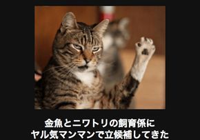 あなたのスマホの中の写真見せて