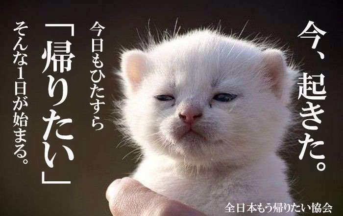 あなたのスマホの中の写真見せて