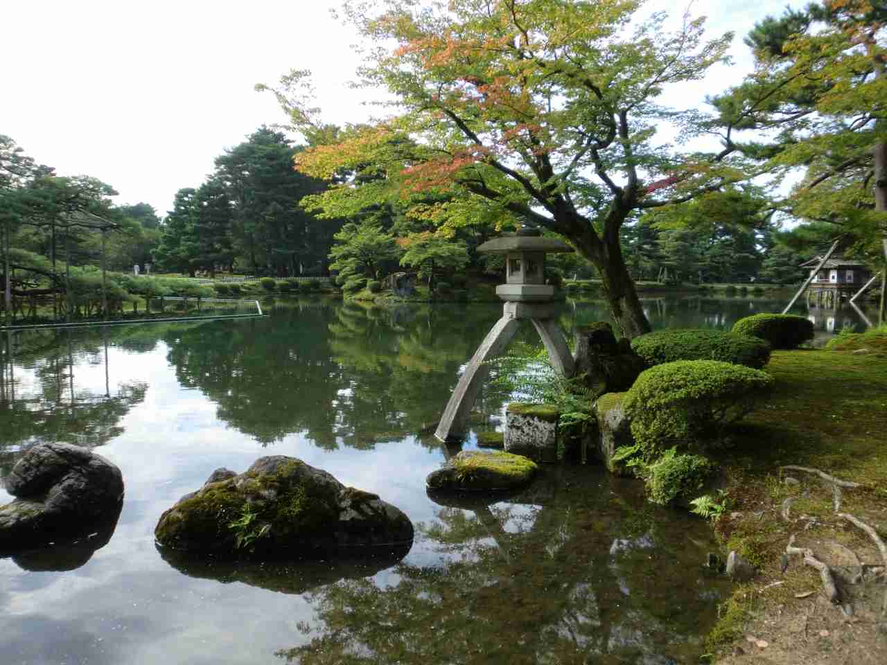 忍者求ム!各地で深刻“忍者不足”のワケ